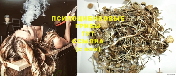гидропоника Арсеньев