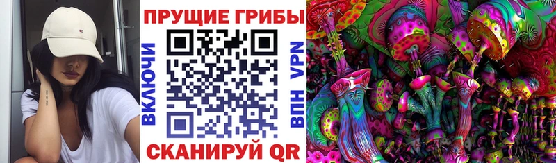 Псилоцибиновые грибы мицелий Купить закладки Талдом