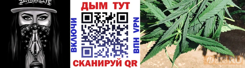 Конопля White Widow  Купить где  Талдом 